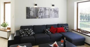 Использование черного дивана в интерьере дома