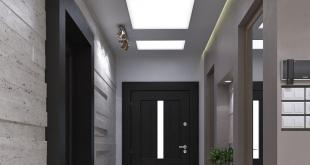 Dark doors in the interior: options and ideas for color combinations Apartment design with dark interior doors