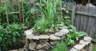 Do-it-yourself rock garden (alpine slide): structure and design scheme, step-by-step photo instructions